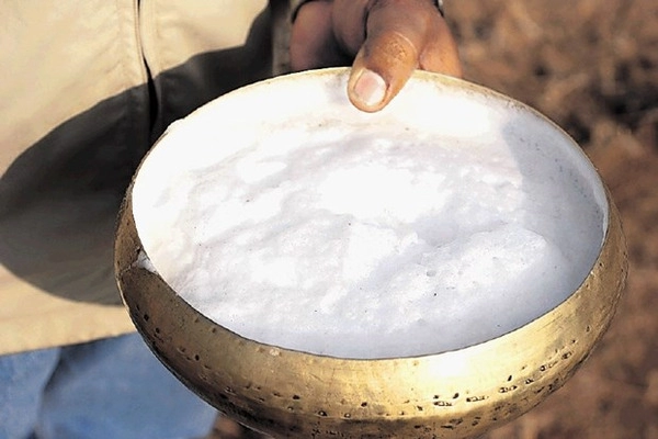 mlécná cokoláda camel milk